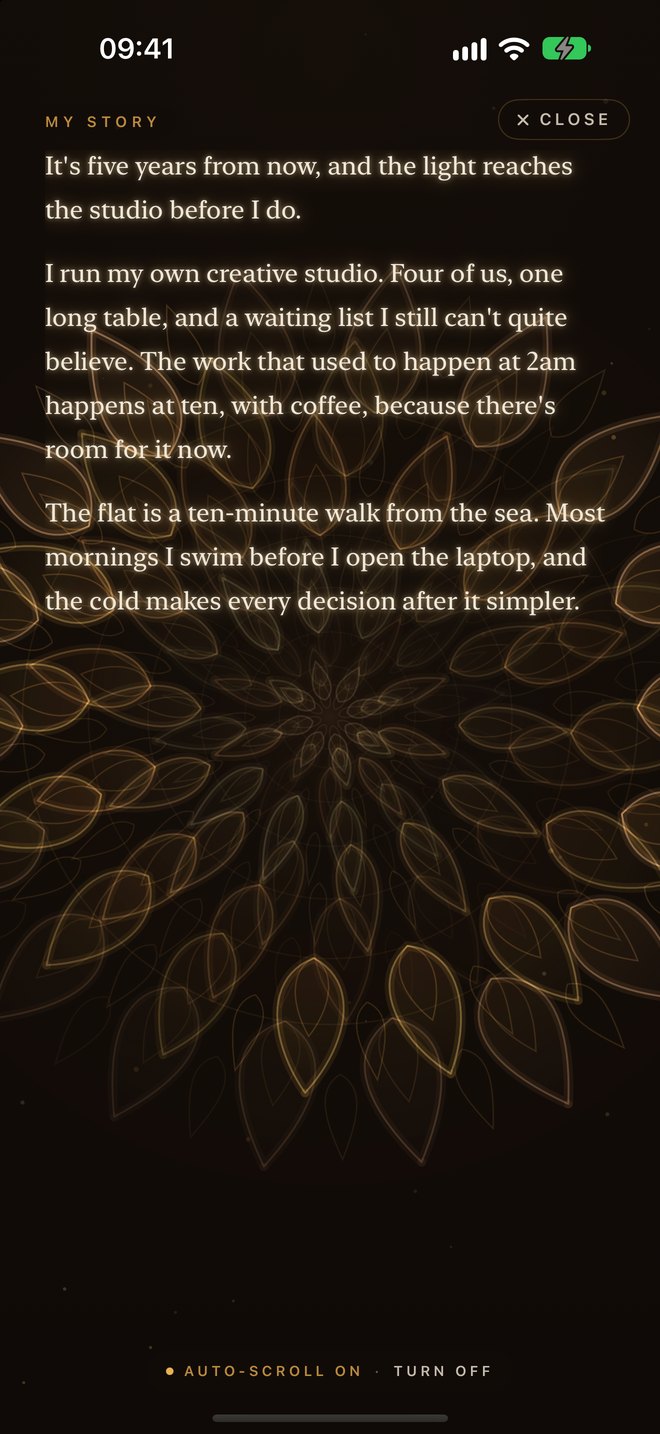 Your vision, read back